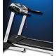 NEUES MUSTANG PERFORMANCE Laufband