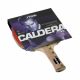 Racchetta da Ping Pong Caldera 2 stelle STIGA