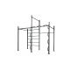 CALISTHENICS 2 Station Toorx Art G60 C2