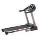 Tapis roulant Toorx TRX-ENDURANCE