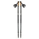 Coppia bastoncini Nordic Walking AHF-084